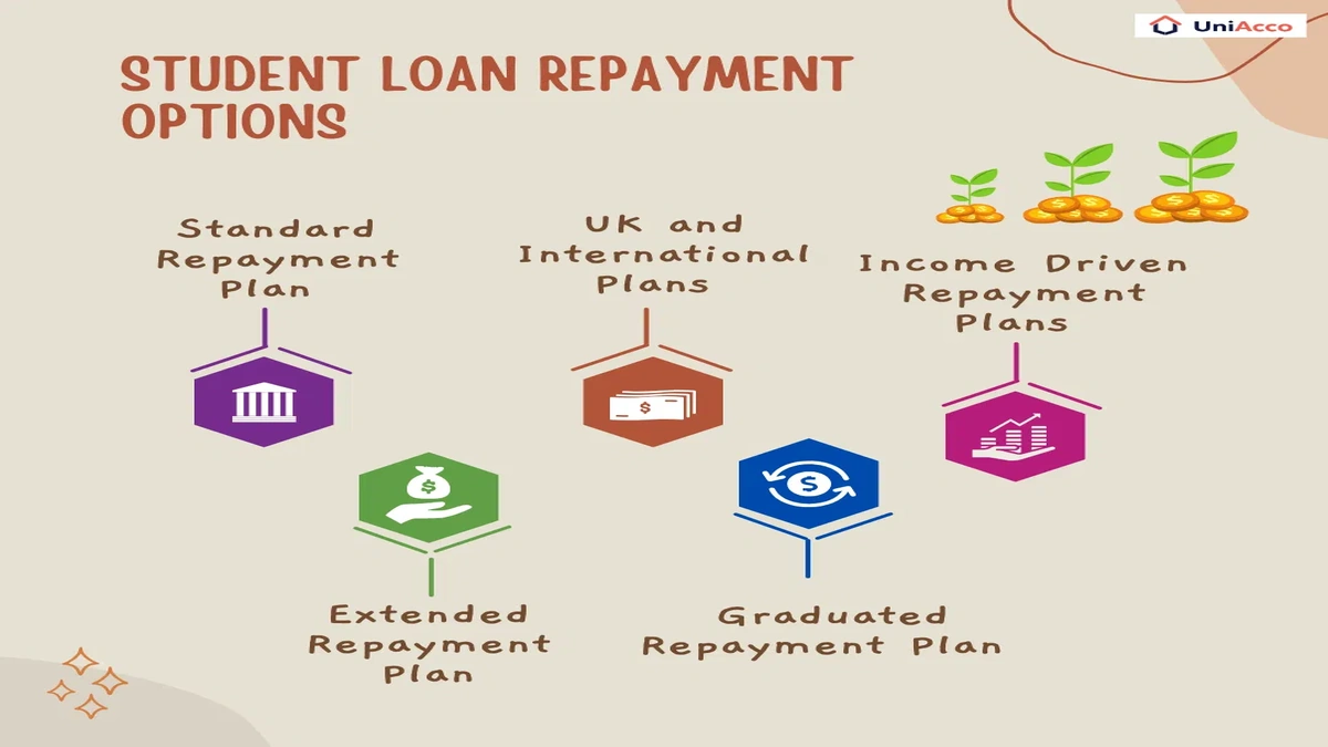 UK Student Loan Forgiveness | Are You Missing Out?